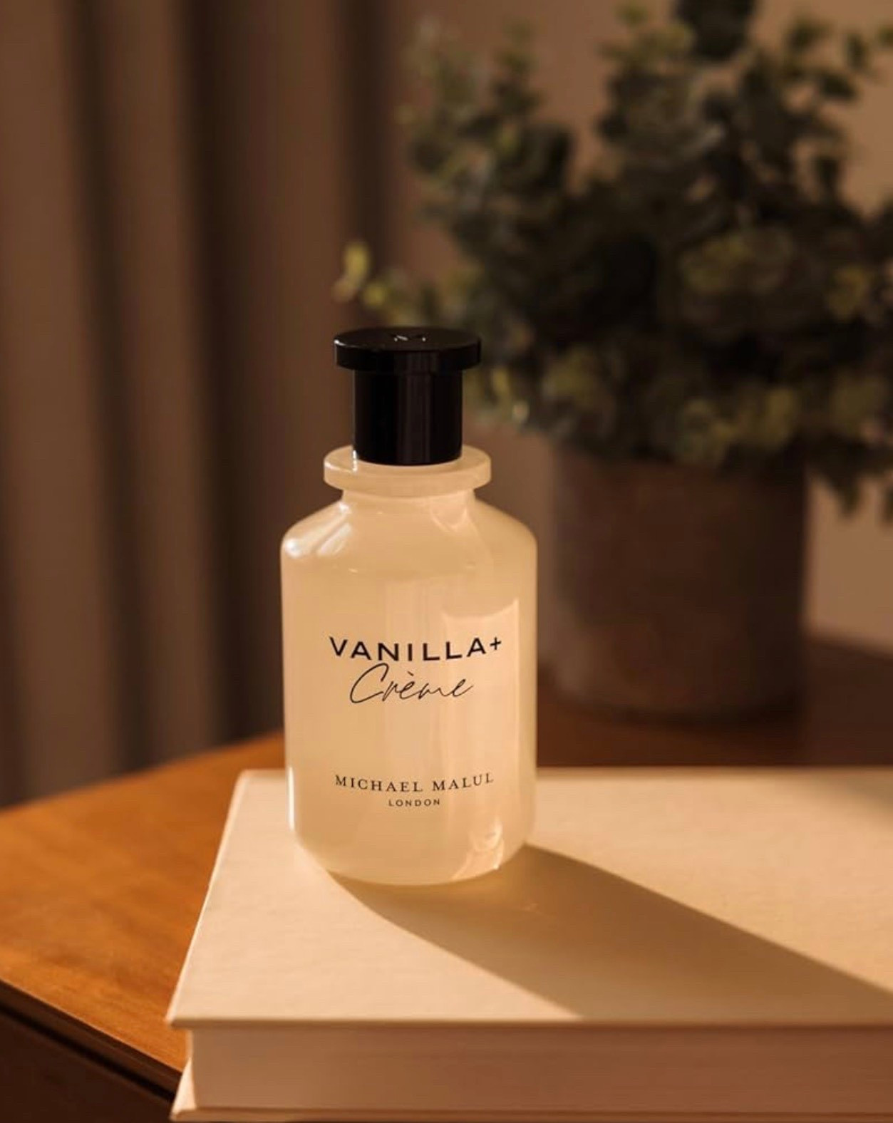 ✨ Scent of the Day: Vanilla vibes all day ✨
Spritzing this creamy vanilla + crème beauty — sweet pear and pink grapefruit open it up, then it settles into warm almond blooms and rich, cozy vanilla with a whisper of caramel and skin-like musk. Perfect for soft days, slow mornings, and everyday luxury. ☕💛 #VanillaScent 

#LTKselfcare #LTKGiftGuide #LTKBeauty