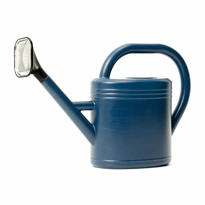 Watering Can 1 Gallon Indoor Outdoor Plant Watering Can with Removable Nozzle, Drip-Free Sprinkle... | Wayfair North America