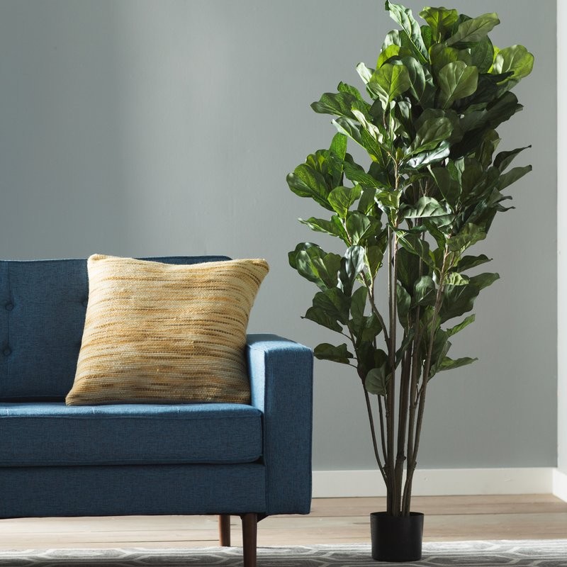 Floor Fiddle Leaf Fig Tree in Pot | Wayfair North America