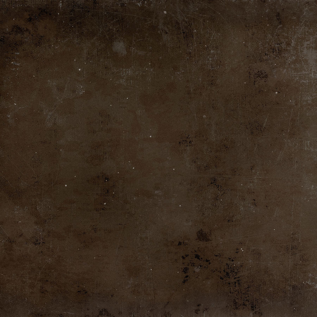 Chestnut | Collection Prints