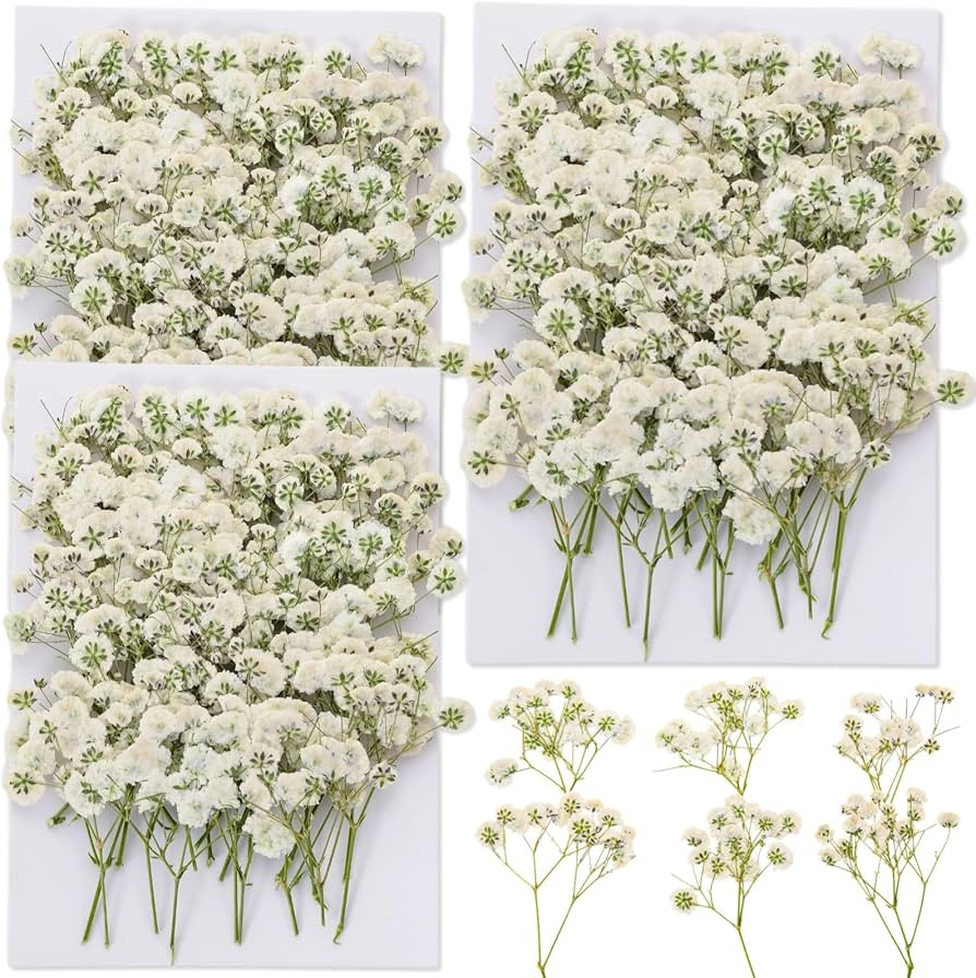 90Pcs Mini Dried Pressed Baby's Breath Flowers Bulk - Natural Flat Real White Gypsophila Baby Bre... | Amazon (US)