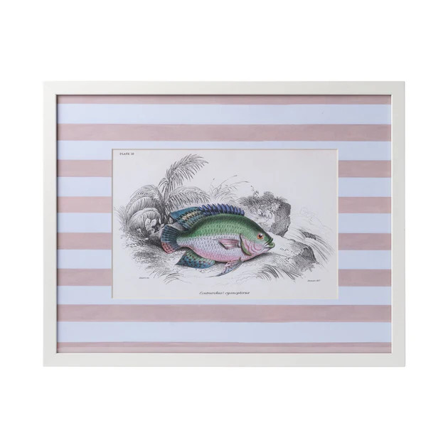 Stripe Fish Framed Art Print - E | Cailini Coastal