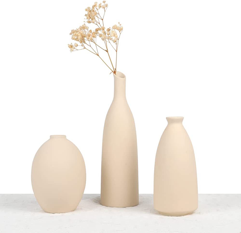 Ceramic Vase for Decor , Small Pampas Grass Flower Vases for Dining Table, Entryway, Shelf, Mantl... | Amazon (US)