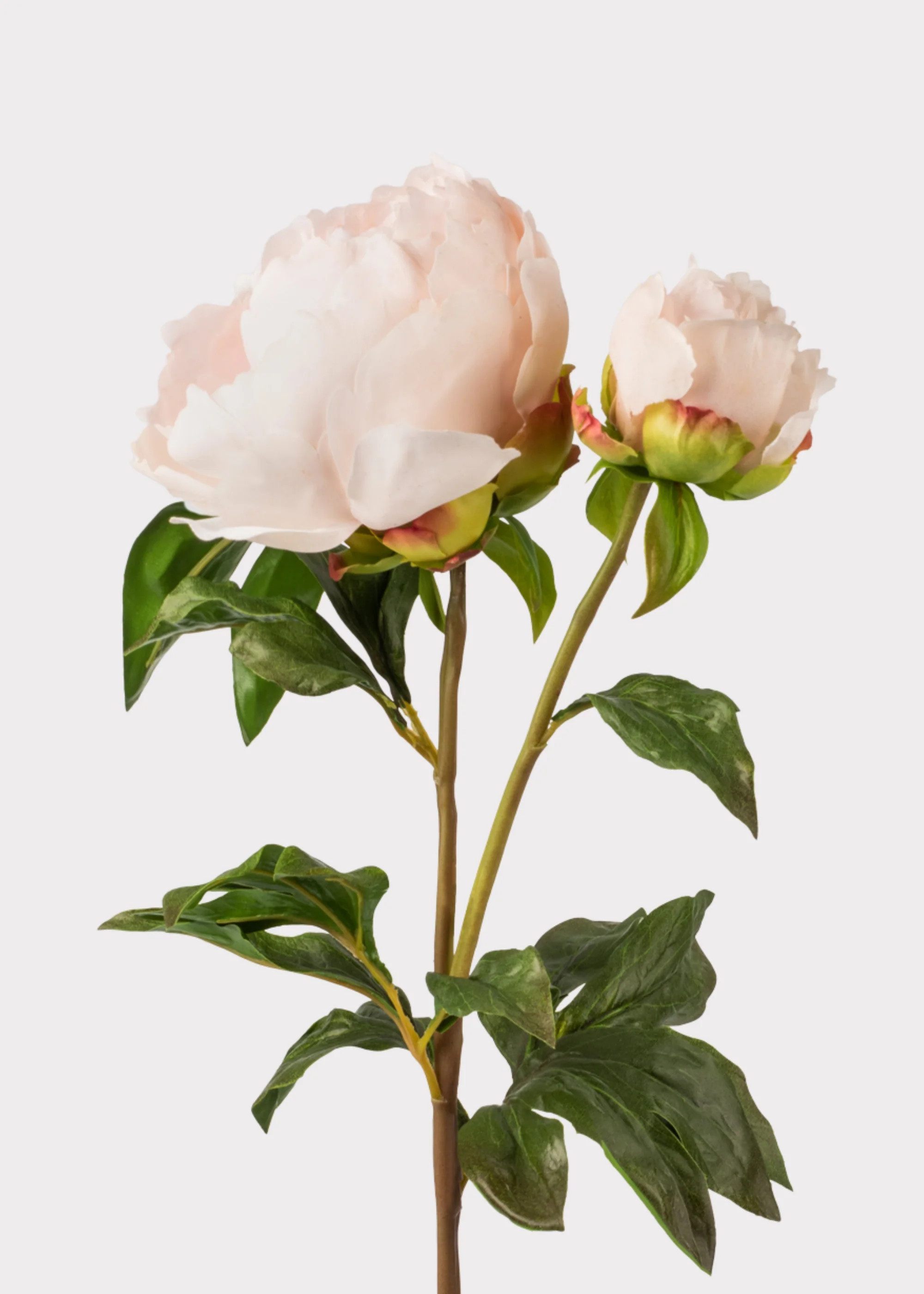 Real Touch Fake Flowers Blush Peony - 27 | Afloral