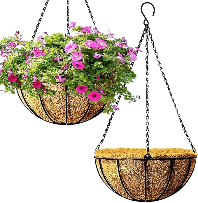 2 Pack Hanging Pots for Plants with Coco Coir Liner 8'' Round Wire Hanging Planter Holder with Ch... | Amazon (US)