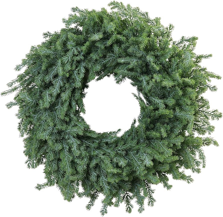 Outdoor Christmas Wreath – 24 Inch Artificial Cedar Wreath with Full Norfolk Pine Green Tips, L... | Amazon (US)