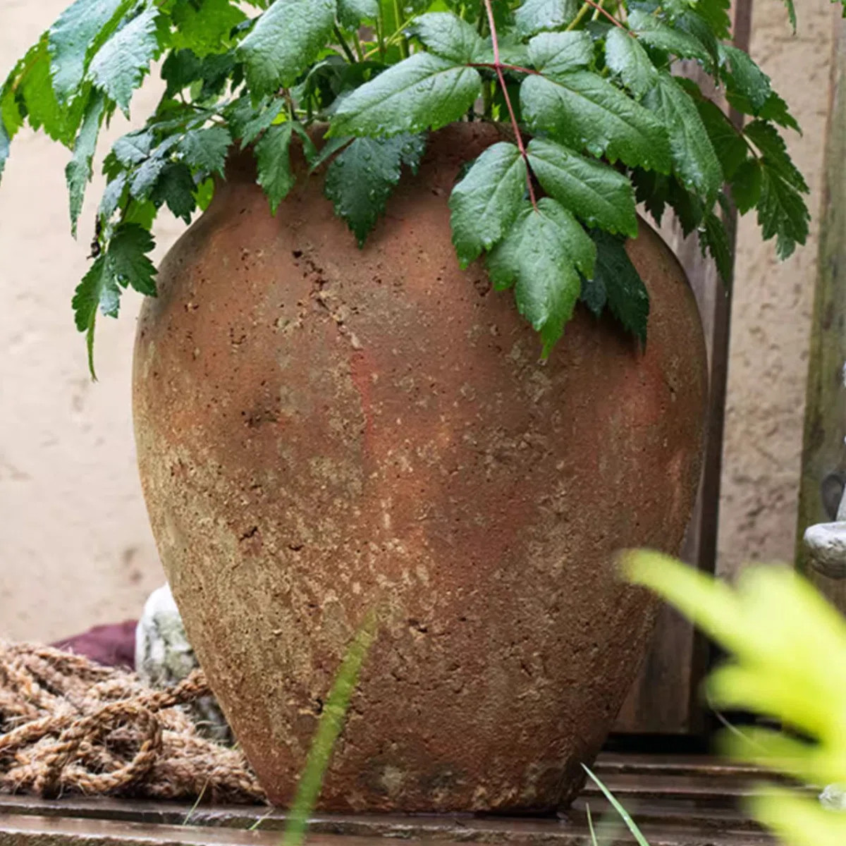 Union Rustic Kameera Pot Planter & Reviews | Wayfair | Wayfair North America