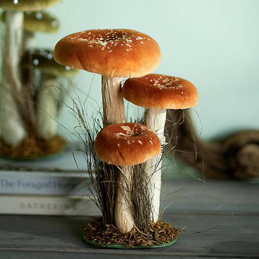 Velvet Mushroom Trio | Terrain