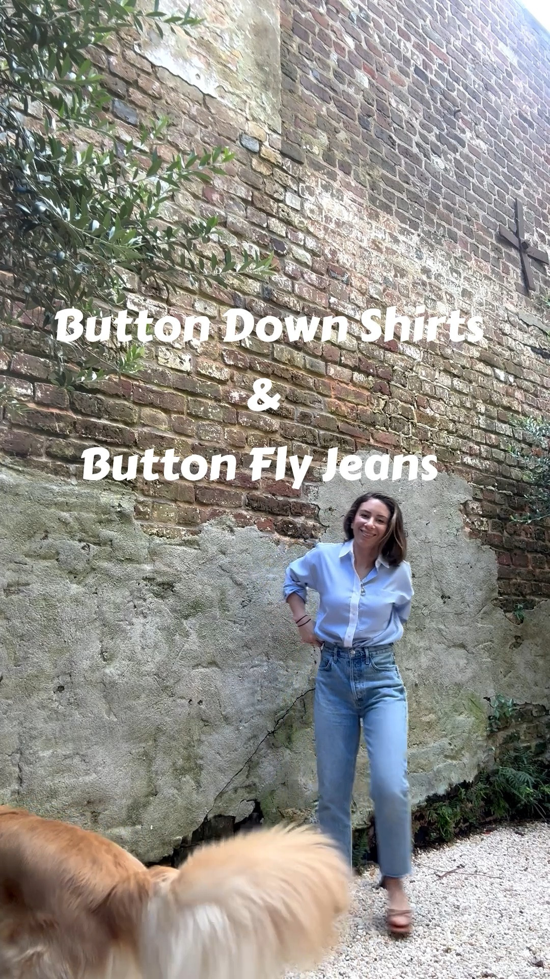 My favorite button down shirts and button fly jeans! 

#LTKPetite #LTKStyleTip #LTKOver40