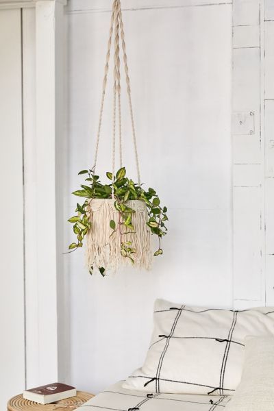 Natalie Macramé 8" Hanging Planter | Urban Outfitters (US and RoW)