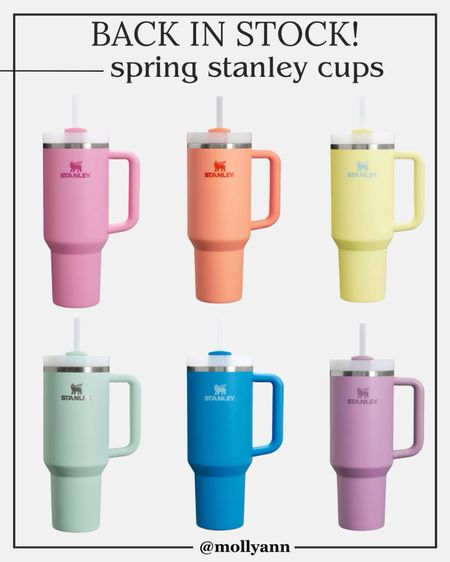 Stanley spring cups back in stock

#LTKhome #LTKfindsunder100 #LTKfindsunder50