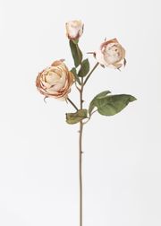 Beige Faux Dried Roses with Bud - 21" | Afloral (US)