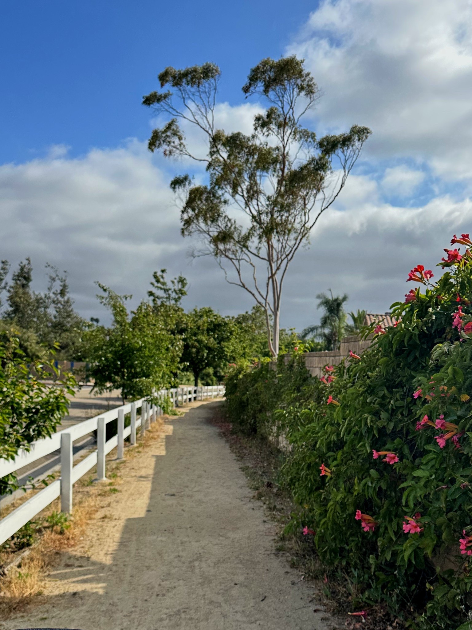 Groupon Date Ideas for the Chill Couple! #grouponpartner #groupondeals #GiftingWithGroupon @groupon #LTKSummerEdit