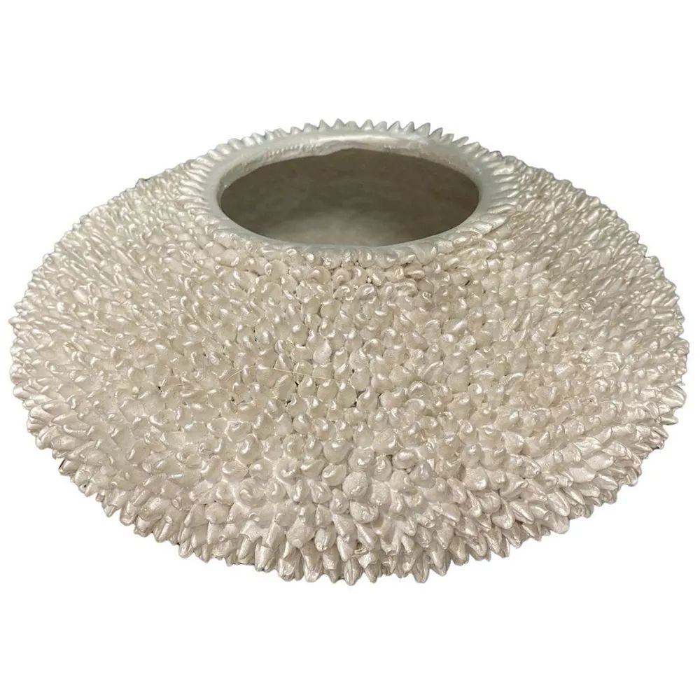 Urchin Decorative Bowl | Bealls