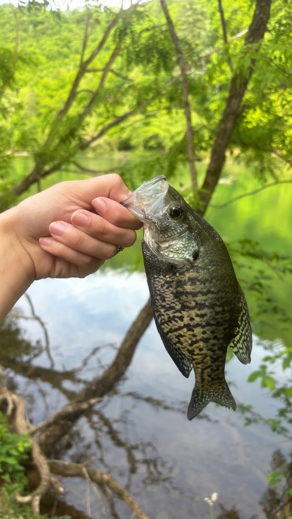 Rippin lips with my little buddy today! Linking all his favorite fishing gear! Would be the perfect birthday present! 🎣

#LTKFamily #LTKGiftGuide #LTKKids