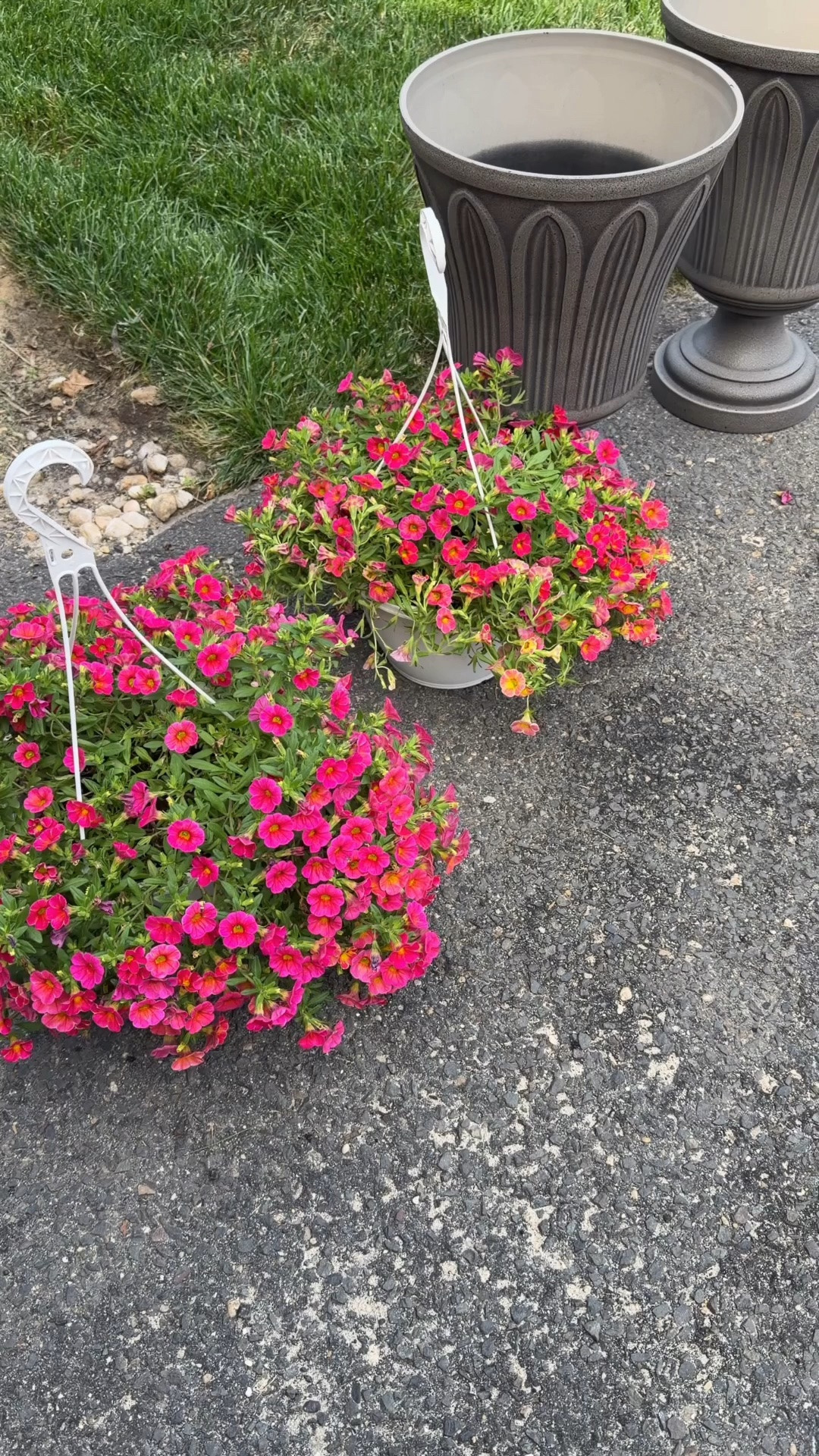 Our new outdoor planters. I took the easy way out and bought hanging plants to fill the pots ☺️
Home decor

#LTKdayinmylife #LTKHome #LTKSaleAlert
