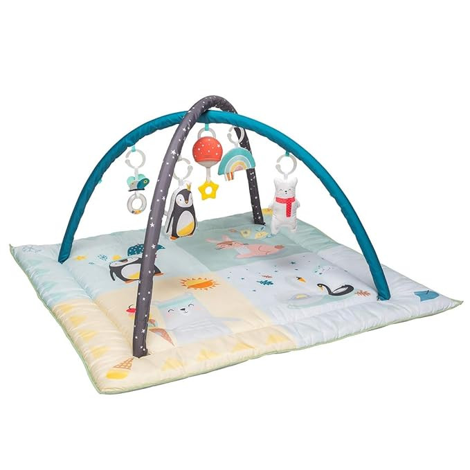 Taf Toys North Pole 4 Seasons Baby Play Mat and Infant Activity Gym with Music & Light. Thickly P... | Amazon (US)