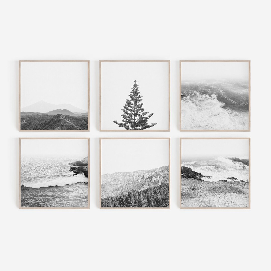 Nature Prints, Set of 6 Prints, Digital Prints, Black and White Prints, Nordic, Living Room, Wall... | Etsy (CAD)