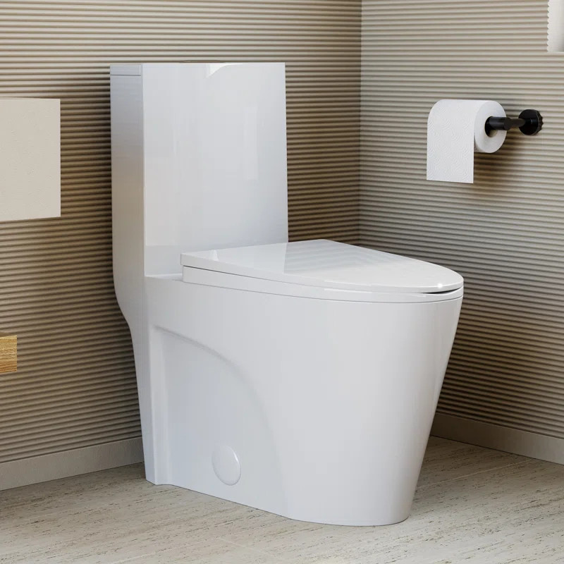 St. Tropez One Piece Elongated Toilet Dual Vortex Flush 1.6 GPF | Wayfair North America