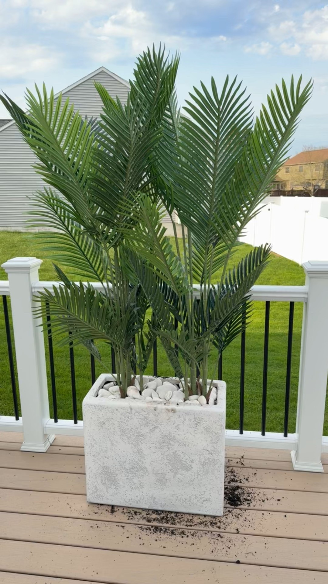 Perfect privacy planter!! Would you believe me if I told you these were fake 🤪

#LTKSeasonal #LTKHome