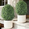 INSPRING 27'' Artificial Boxwood Topiary Trees Outdoor Fake Bushes Plants UV Resistant Evergreen ... | Amazon (US)