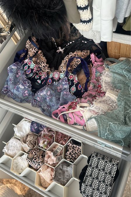 Closet organization | underwear organizer | organization | lingerie | drawer organization 

#LTKHome #LTKStyleTip #LTKFindsUnder50