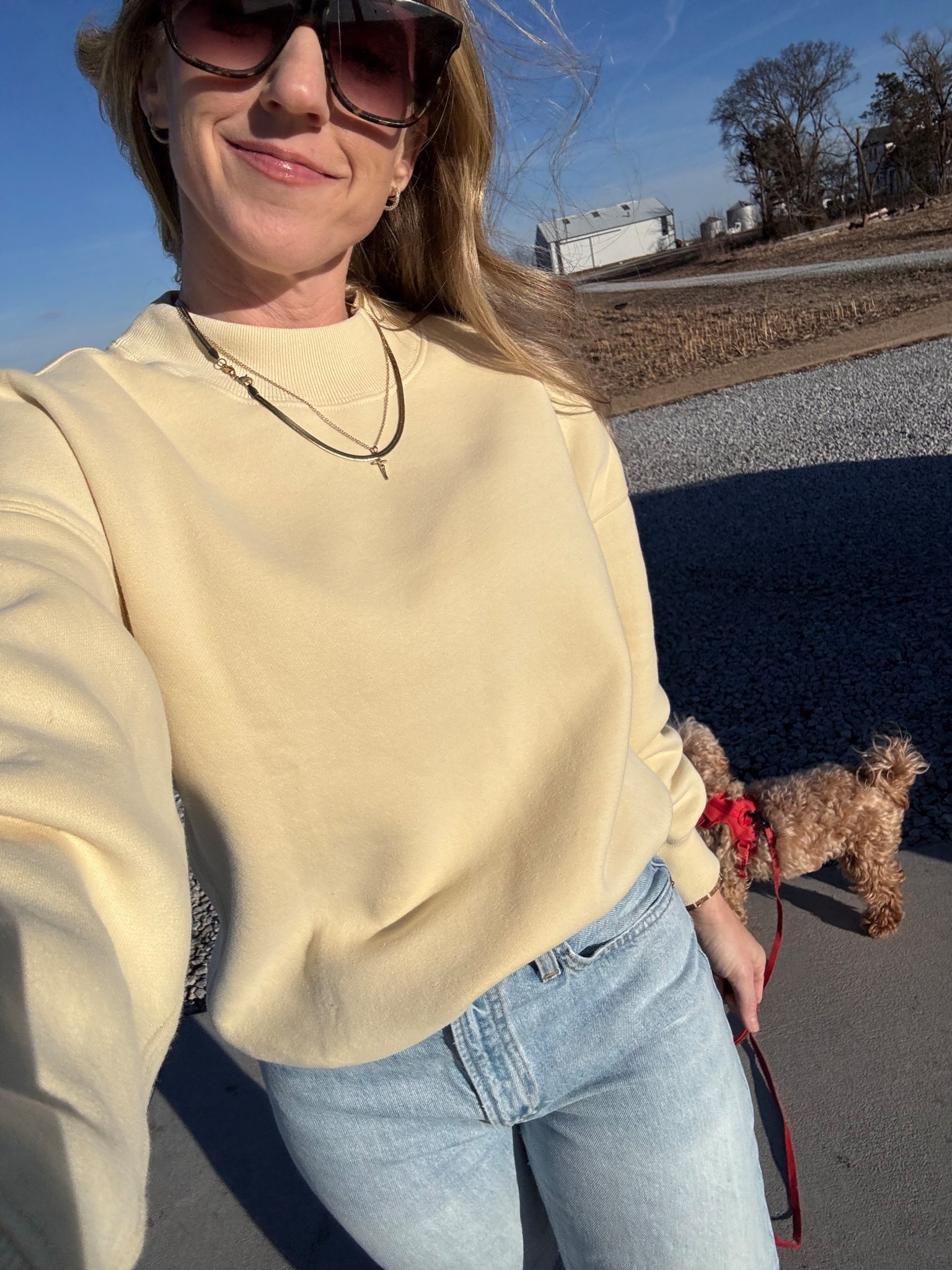 My favorite sweatshirt of all time. I have it in 4 colors. 

#LTKmomlife #LTKSeasonal #LTKOver40
