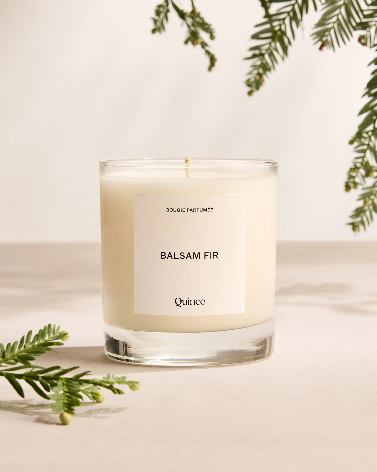 Balsam Fir Candle | Quince