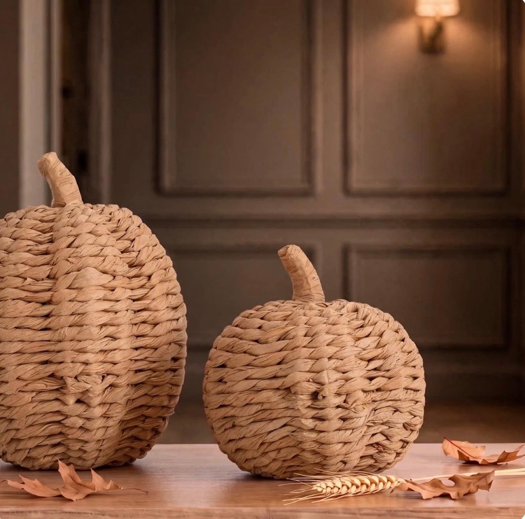 Neutral woven pumpkins for fall… two sizes. Great for styling any table, shelf, mantle or cabinet

#LTKSeasonal #LTKHome