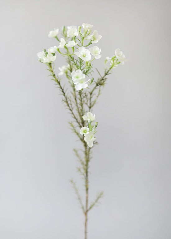 White Fake Waxflower Filler Flowers - 26 | Afloral (US)