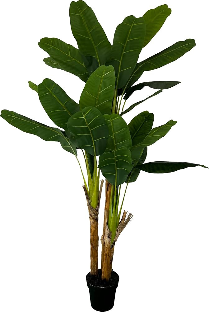 Deluxe Triple Stalk Banana 6' Artificial Plant, Artificial Tree, Cypress & Alabaster | Amazon (US)