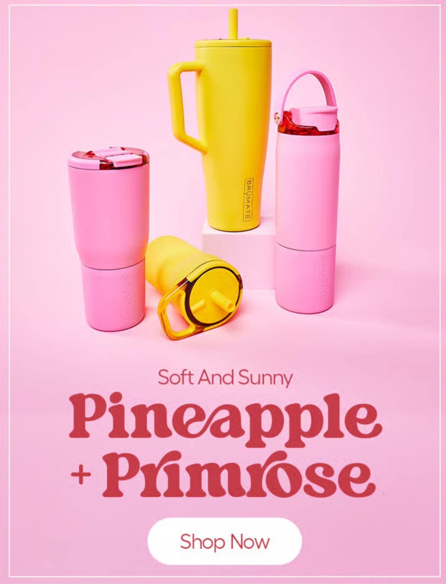 Brumate Pineapple + Primrose collection 🍍🌸
40 oz tumbler with handle + straw, insulated stainless steel, keeps drinks cold all day! Perfect spring water bottle, gym tumbler, pool day cup, or gift for her.

#brumate #40oztumbler #springfinds #waterbottle #giftforher #gymessentials #pinktumbler #brumateera

#LTKValentine 

#LTKHome #LTKdayinmylife