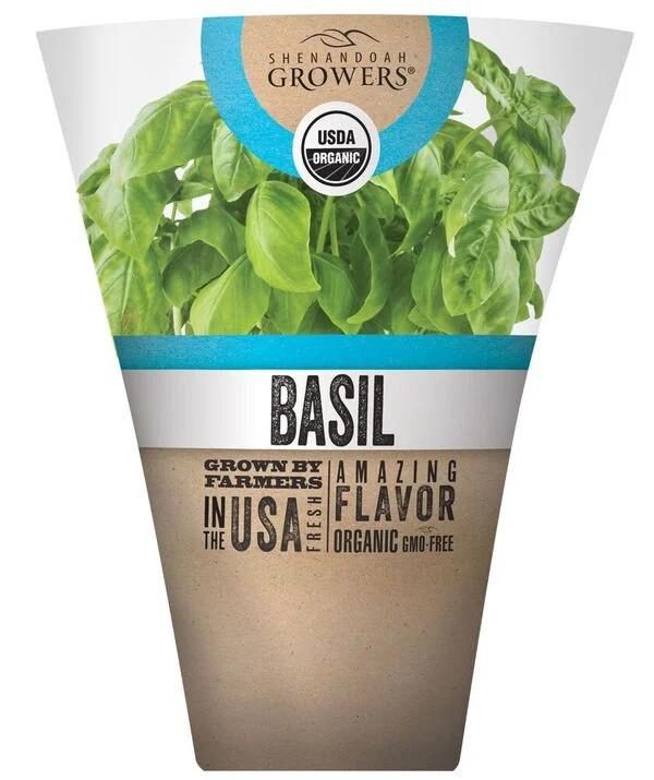 Shenandoah Growers Organic Fresh Potted Basil, 1 Each | Walmart (US)