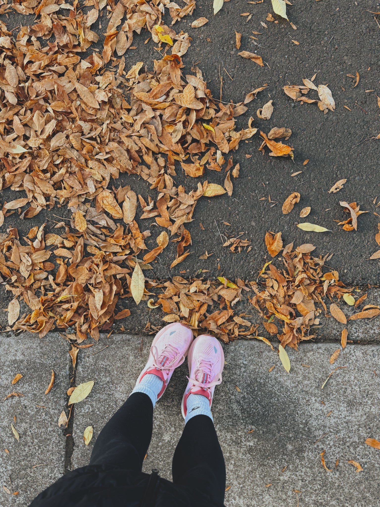 Your goals don’t have to wait for the new year. Get you some cutie new walking shoes and start getting your steps in now! 