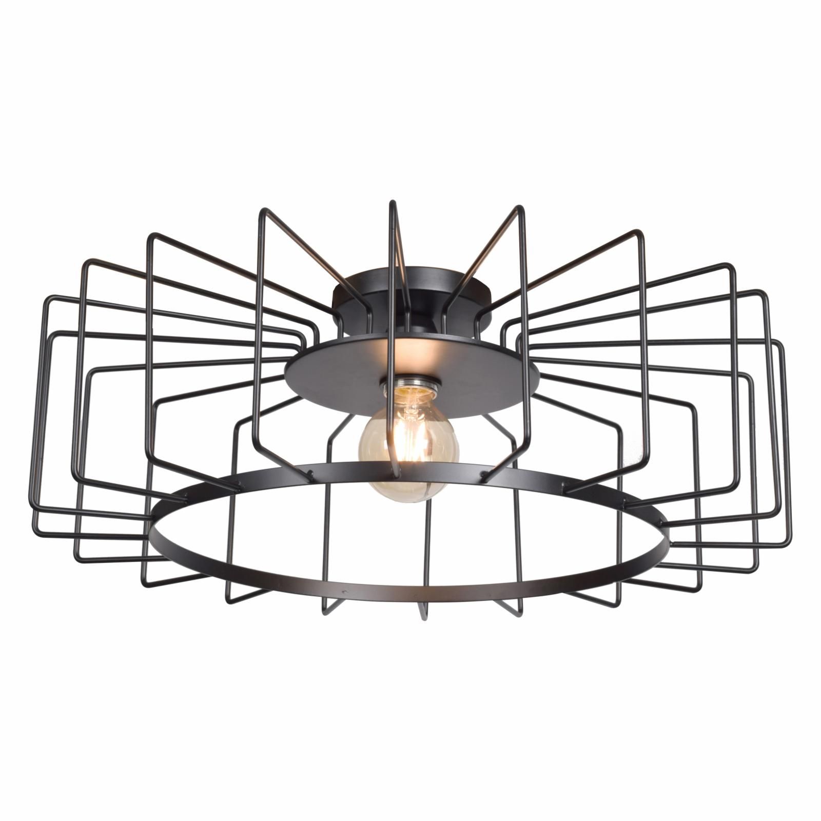 Access Lighting Wired 23892LEDDLP Flush Mount Light | Hayneedle