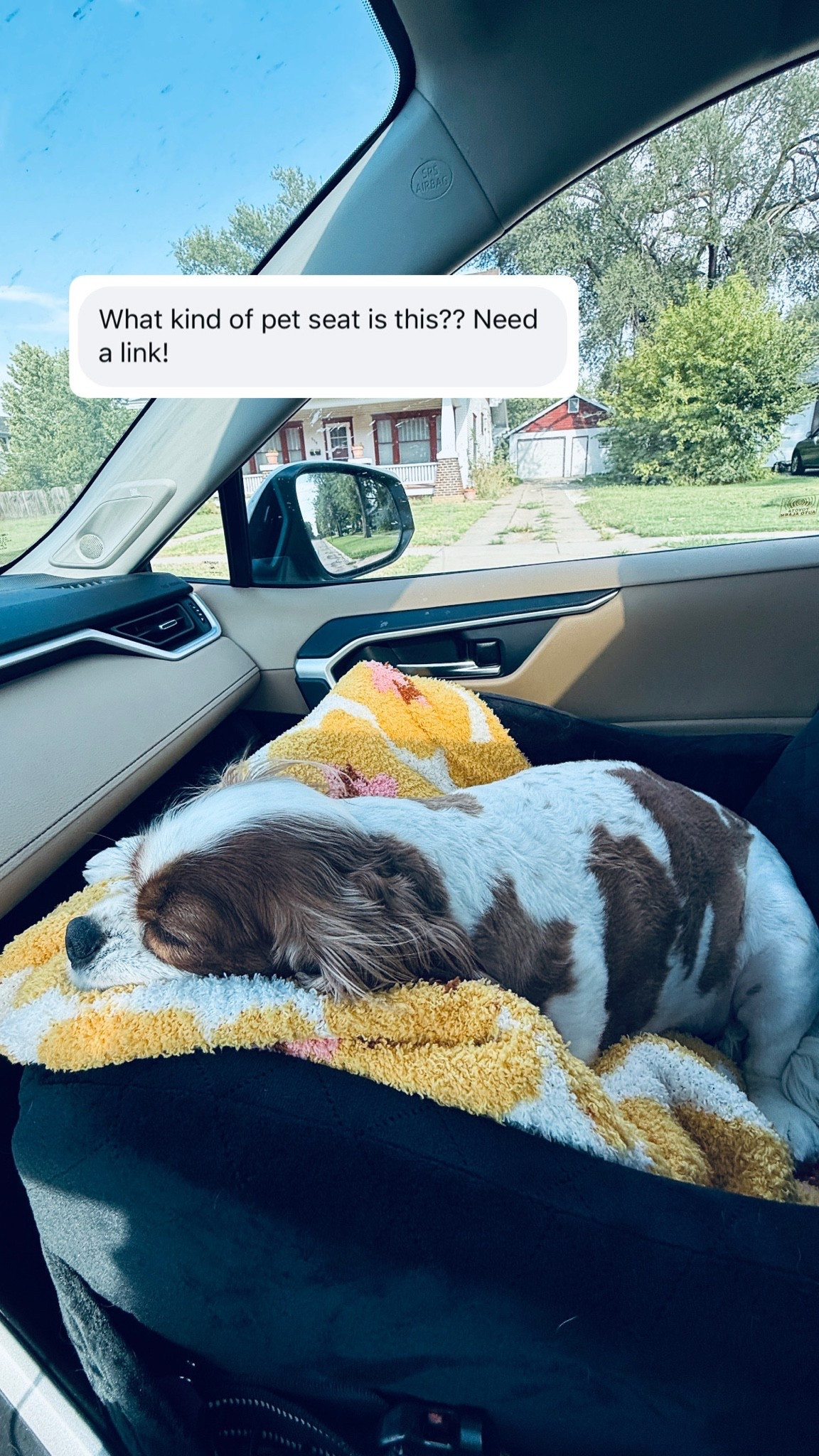 Is anyone even kind of surprised that Piper has her own special carseat?