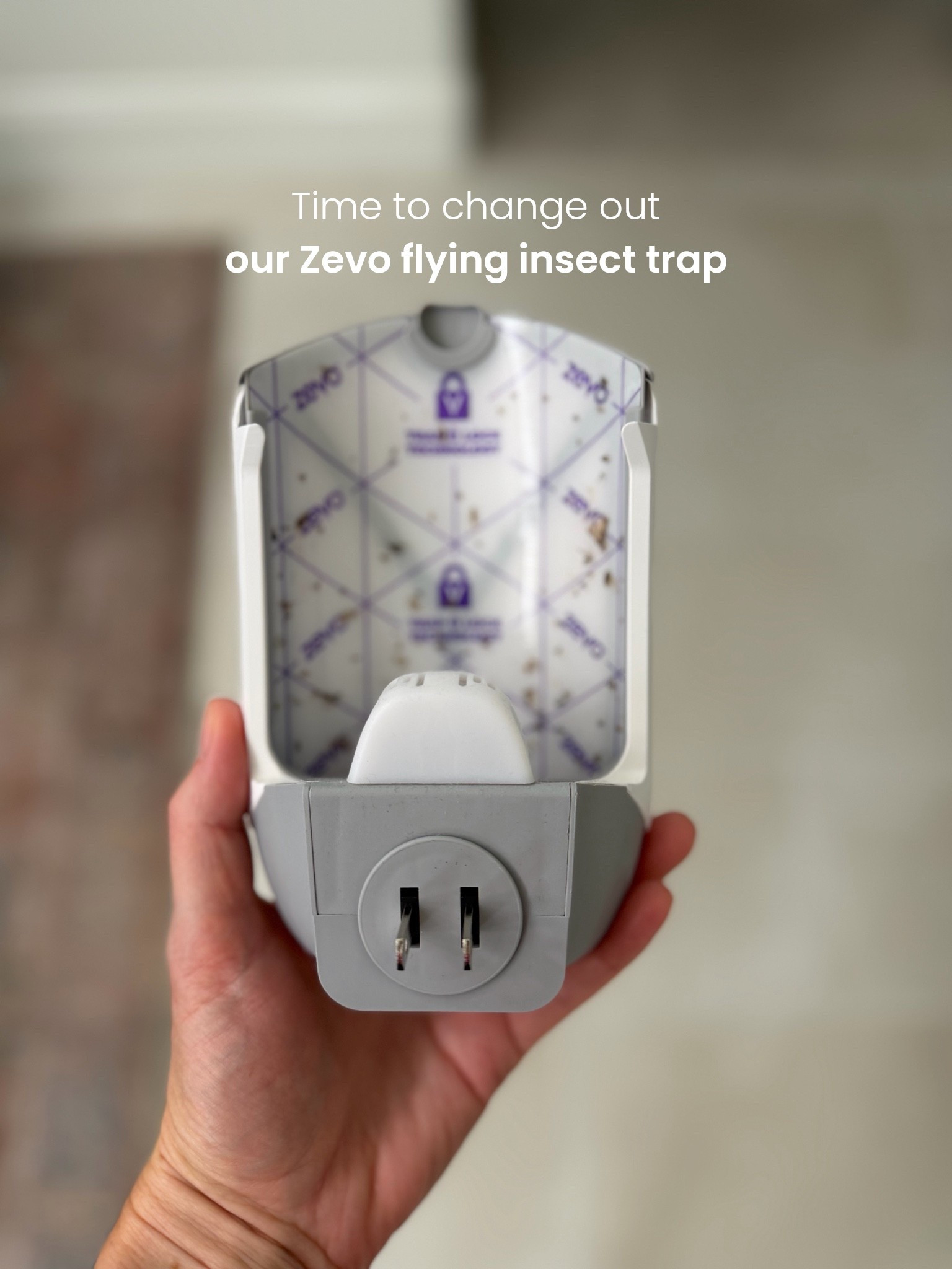Keep bugs out of your home! 
I use these in our kitchen, bathrooms and front room.

Zevo flying insect trap

#LTKHome #LTKSaleAlert