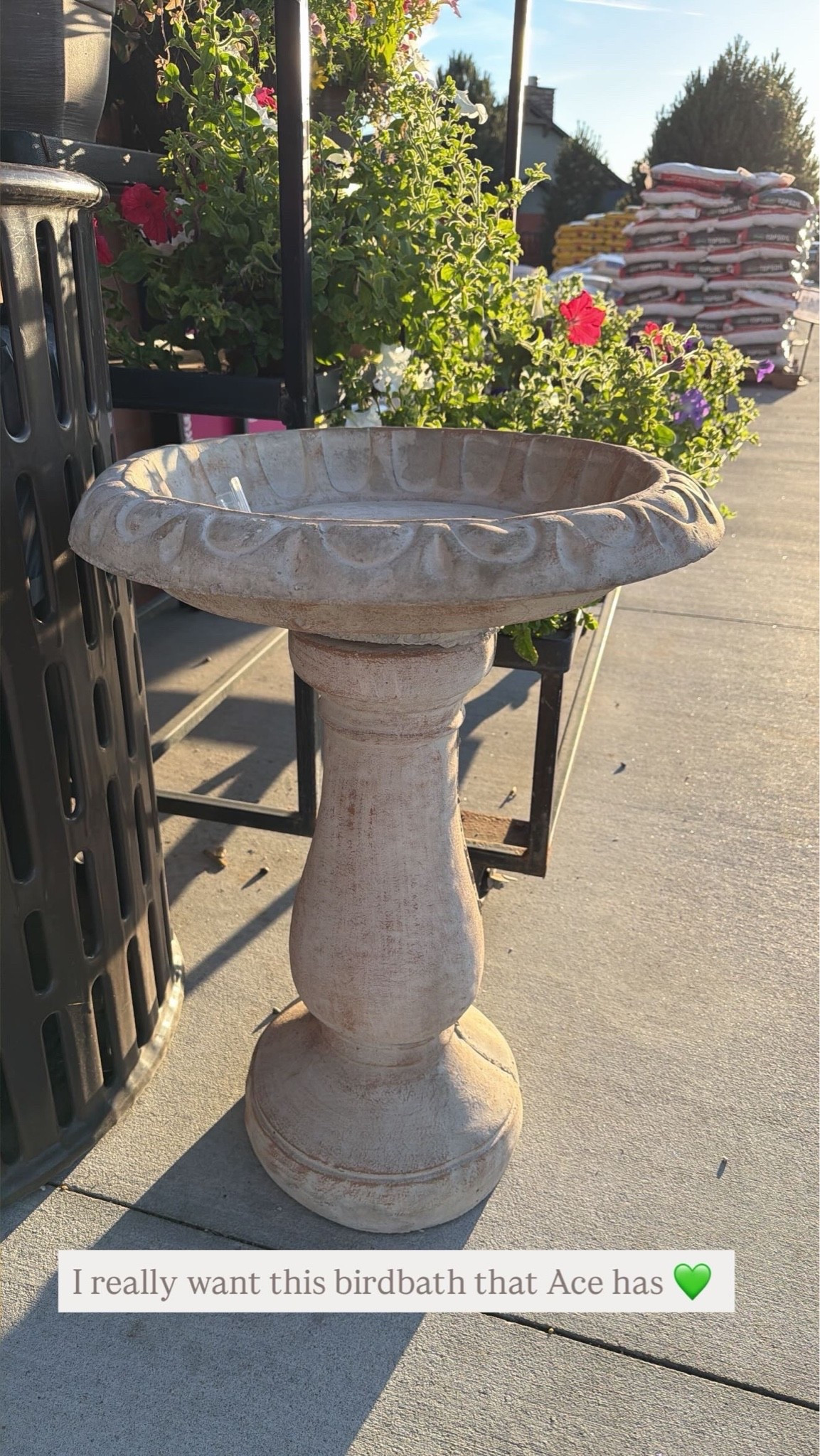 Beautiful concrete birdbath at Ace Hardware! #summerfinds #outdoor

#LTKSeasonal #LTKSaleAlert #LTKHome