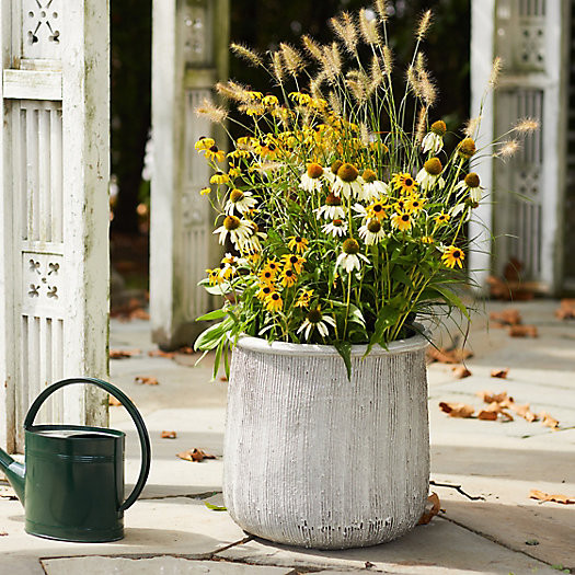 Roll Top Ceramic Planter, 19" | Terrain