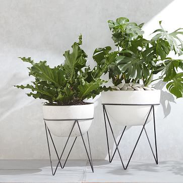 Iris Planter + Chevron Stand | West Elm (US)