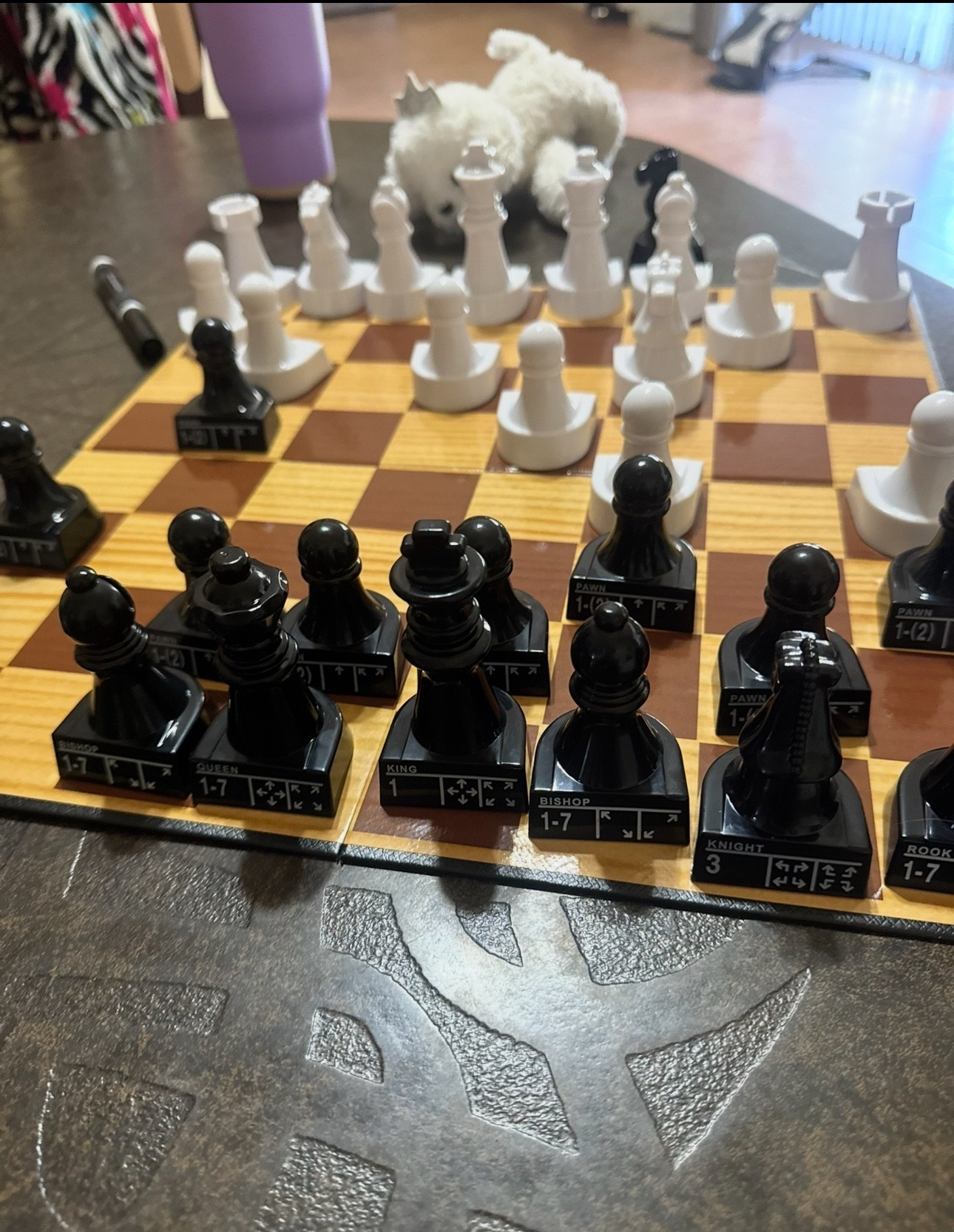 Chess Set with instructions gift idea 

#LTKKids #LTKFamily #LTKFindsUnder50