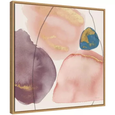 Amanti Art Petal Passion XI Eventide Framed Canvas Wall Art Print | Belk