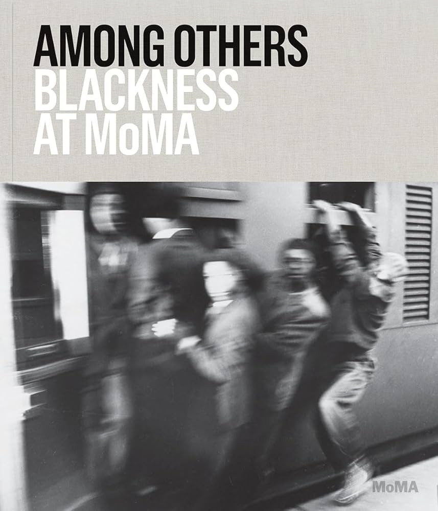 Among Others: Blackness at MoMA | Amazon (US)