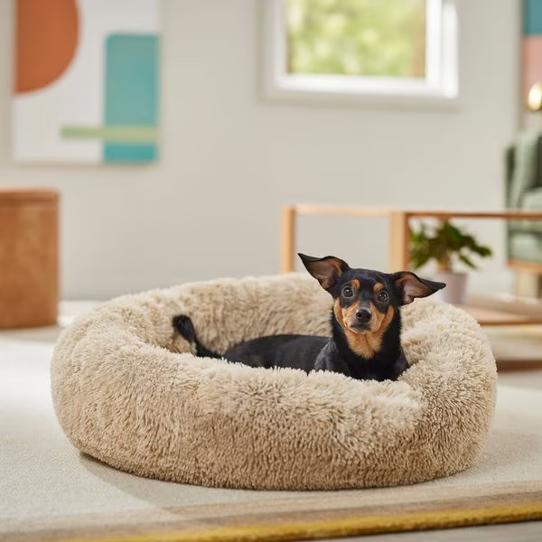 Frisco Long Faux Fur Donut Cat & Dog Bed, Sand, Medium | Chewy.com