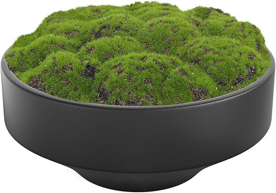 NAHARO New Moss Bowl, Handmade Ceramic Bowl. 11" Artificial Moss Bowl Centerpiece for Home Decora... | Amazon (US)