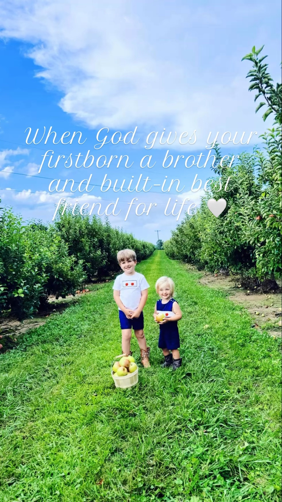 The apples 🍎 of our eyes 👶🏼 and the cutest whittle set of #builtinbrotherbesties I ever did see!! 🤭🫶🏽🥰 Oh how we love all the sweet 😉 traditions this time of year - like our annual trip up the mountain ⛰️ to go apple 🍏 pickin’ 🧺 with our little ones!! 🤠♥️ #helloseptember #brotherbesties #applepicking #applepickingtradition