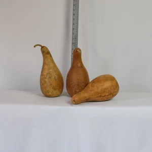 Box of 3 Dried Bottle Gourds - 5" Diameter | Etsy (US)