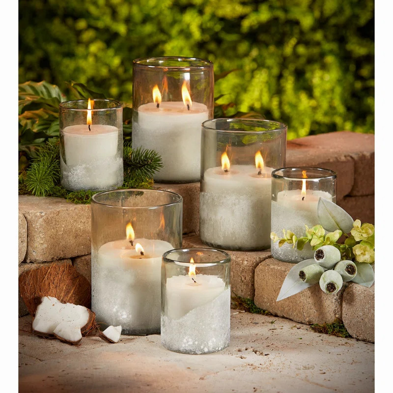 The Holiday Aisle® Citro Eucalyptus Lg Candle Clear | Wayfair | Wayfair North America