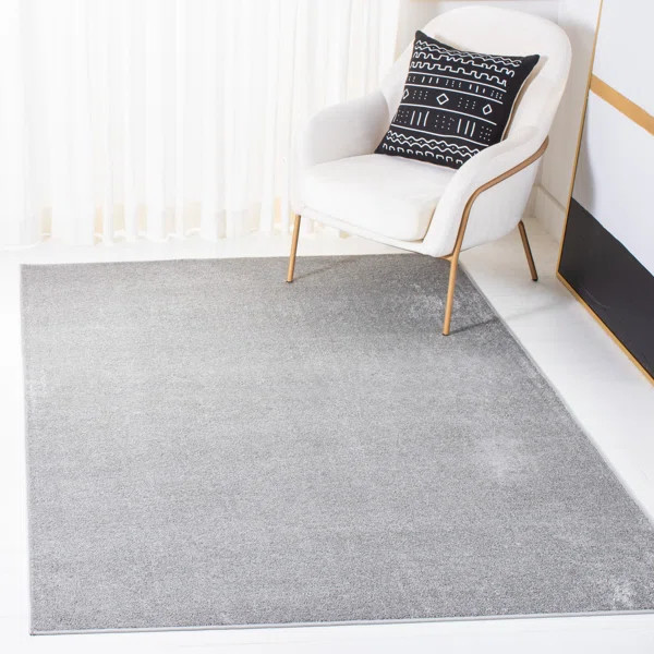 Briag Performance Gray Rug | Wayfair Professional