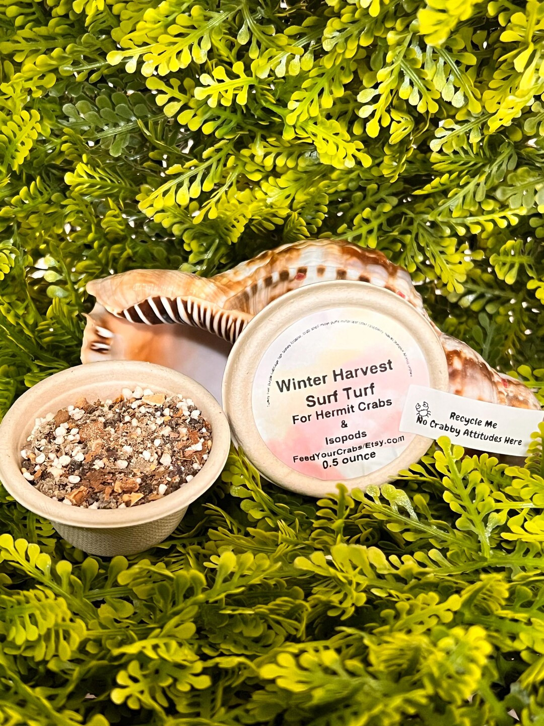 Winter Harvest Surf Turf Feast, Hermit Crab & Isopod Food Blend | Etsy (US)